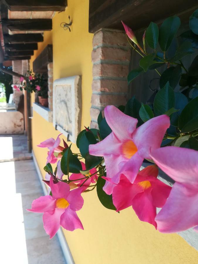 La Brigata Apartments Yellow House Cavallino-Treporti Ngoại thất bức ảnh